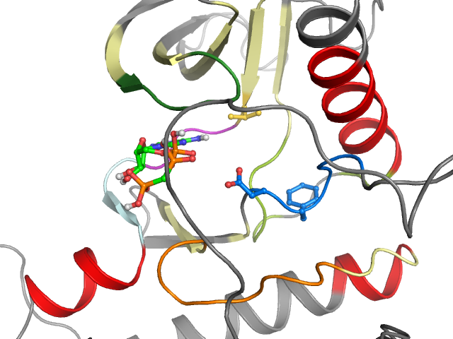 The orthosteric binding pocket