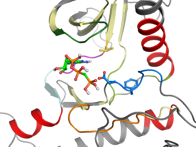 The orthosteric binding pocket
