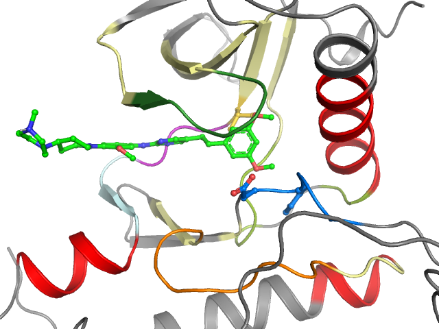The orthosteric binding pocket