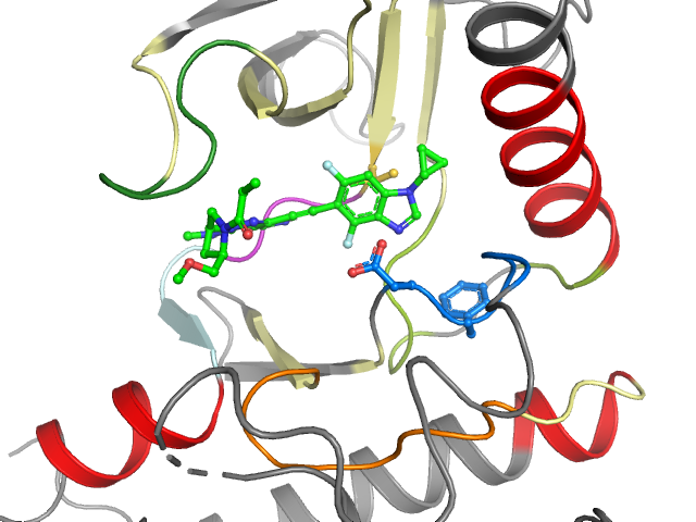 The orthosteric binding pocket