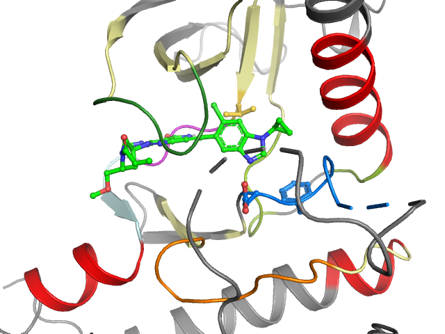 The orthosteric binding pocket