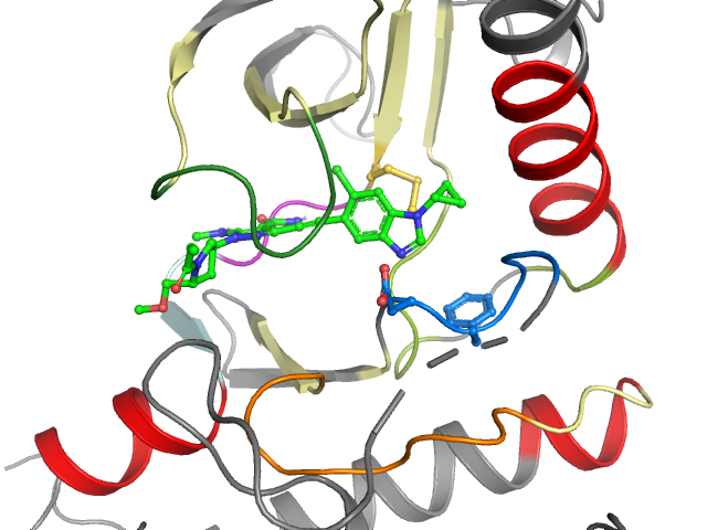 The orthosteric binding pocket