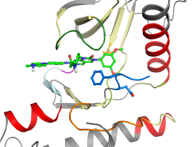 The orthosteric binding pocket