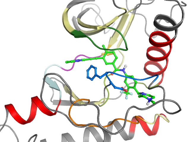 The orthosteric binding pocket
