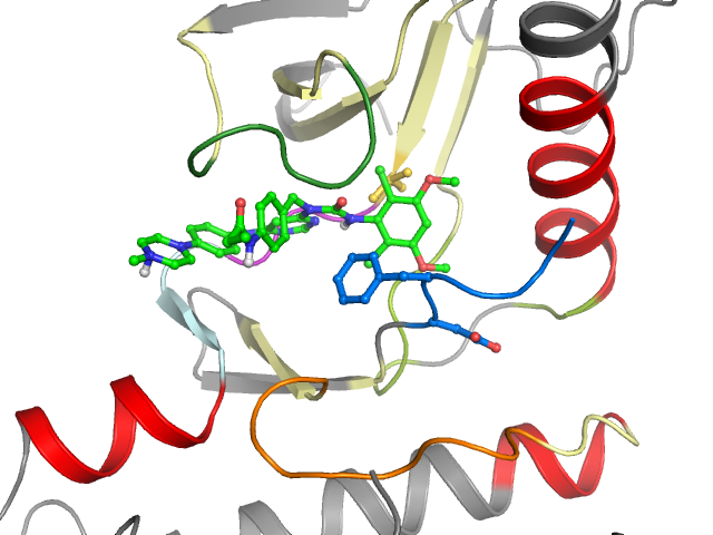 The orthosteric binding pocket