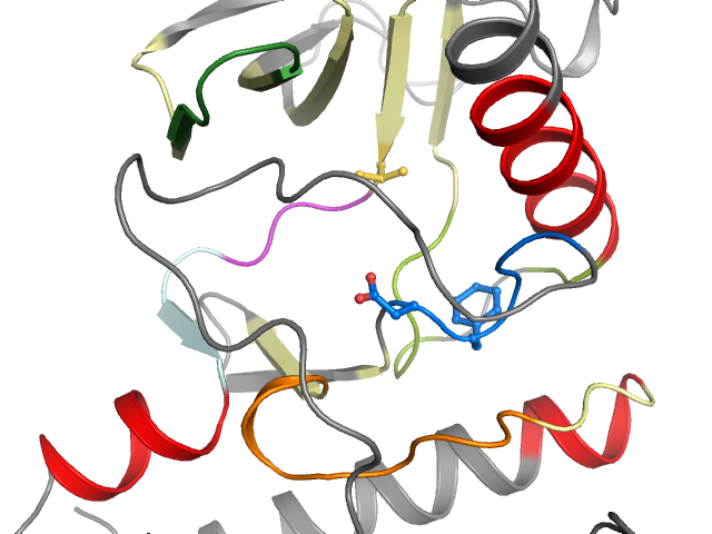 The orthosteric binding pocket