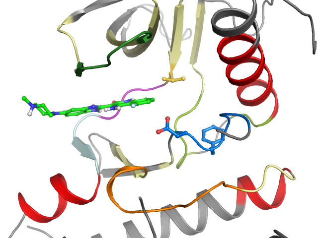 The orthosteric binding pocket