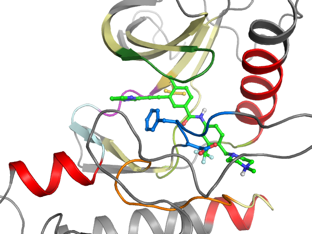 The orthosteric binding pocket