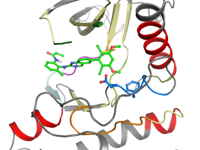 The orthosteric binding pocket