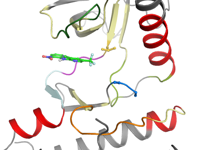 The orthosteric binding pocket