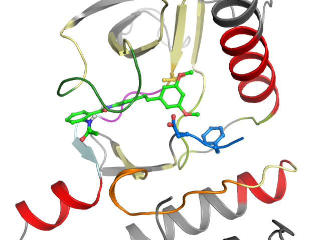 The orthosteric binding pocket