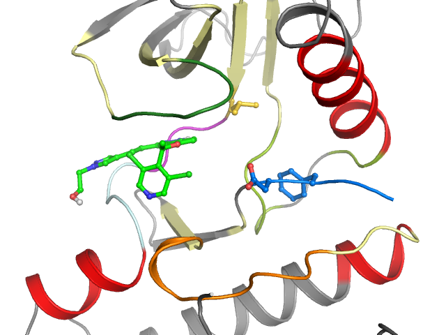 The orthosteric binding pocket