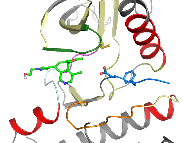 The orthosteric binding pocket