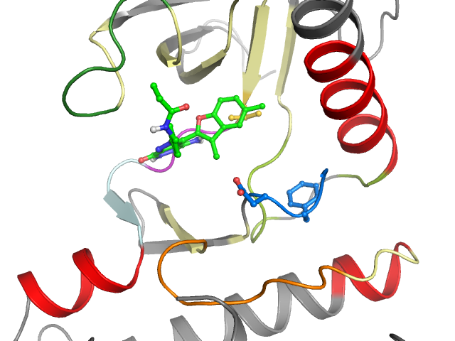 The orthosteric binding pocket
