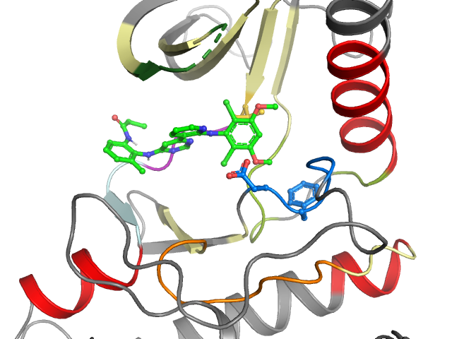 The orthosteric binding pocket