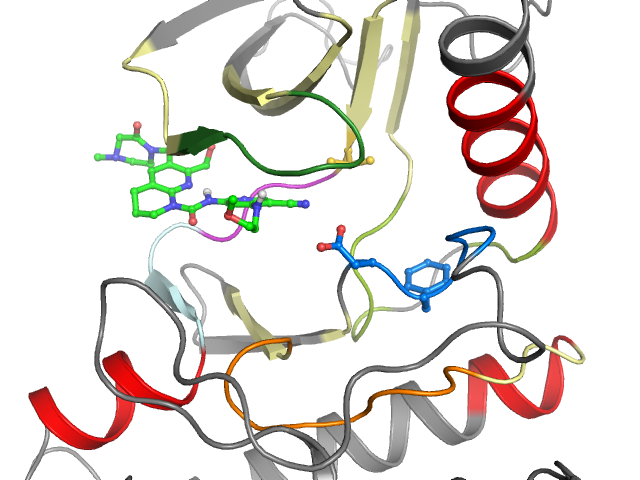 The orthosteric binding pocket