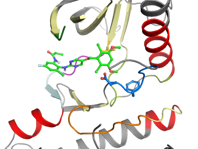The orthosteric binding pocket