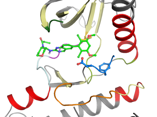 The orthosteric binding pocket