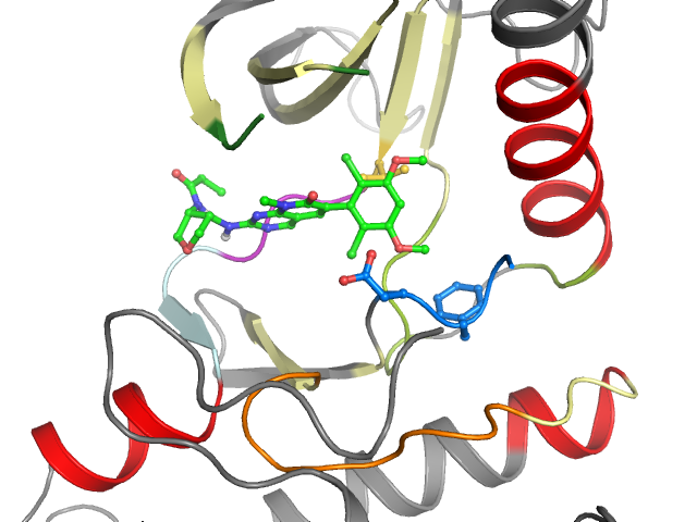 The orthosteric binding pocket
