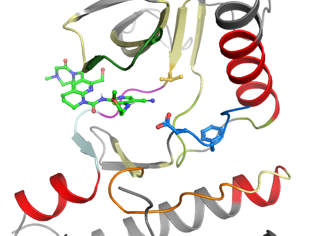 The orthosteric binding pocket