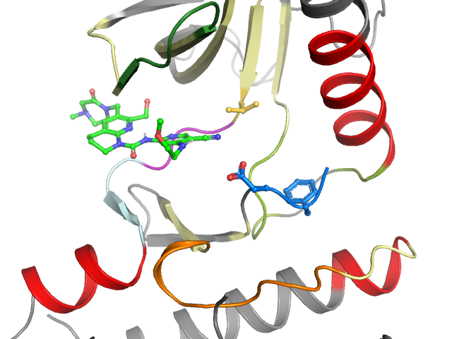 The orthosteric binding pocket
