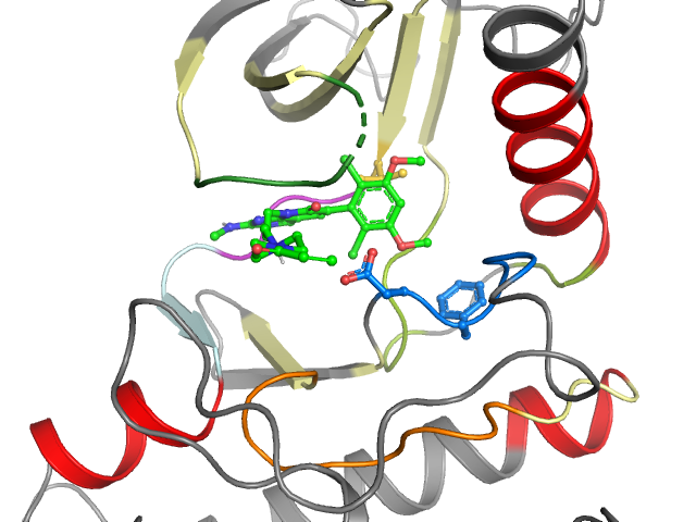 The orthosteric binding pocket
