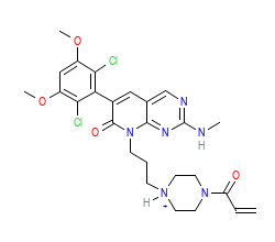 2D structure of the orthosteric ligand