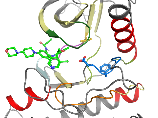 The orthosteric binding pocket