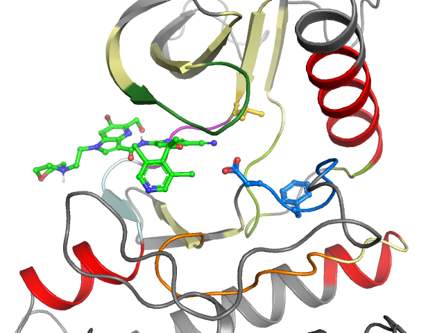 The orthosteric binding pocket
