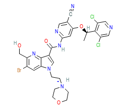 2D structure of the orthosteric ligand
