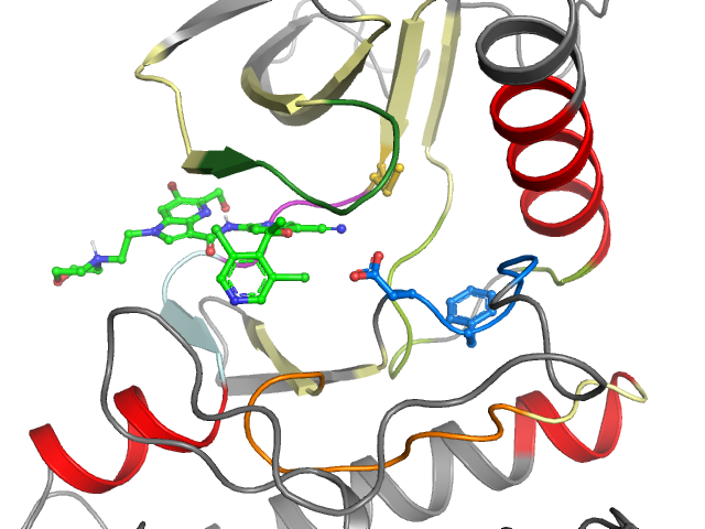 The orthosteric binding pocket