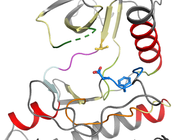 The orthosteric binding pocket