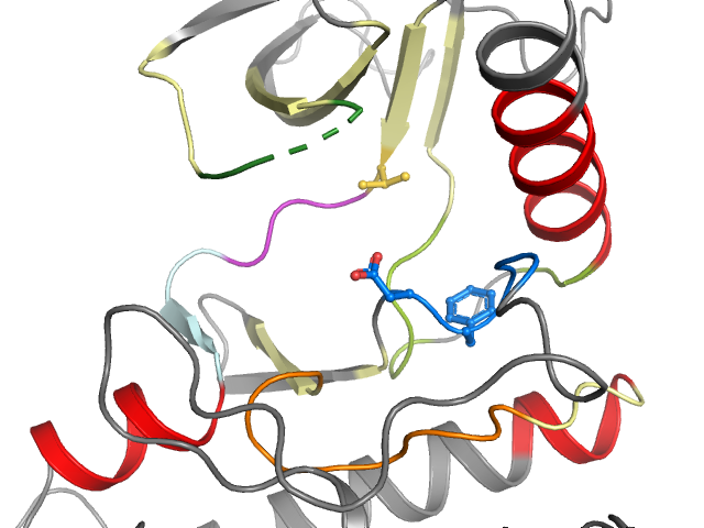 The orthosteric binding pocket