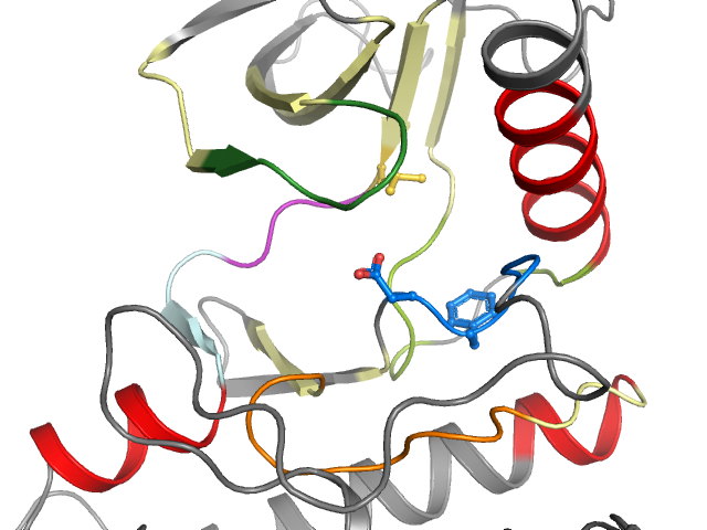 The orthosteric binding pocket