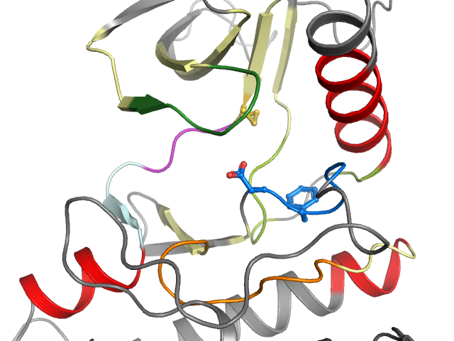 The orthosteric binding pocket