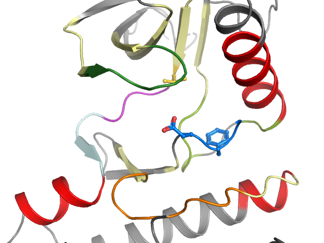 The orthosteric binding pocket