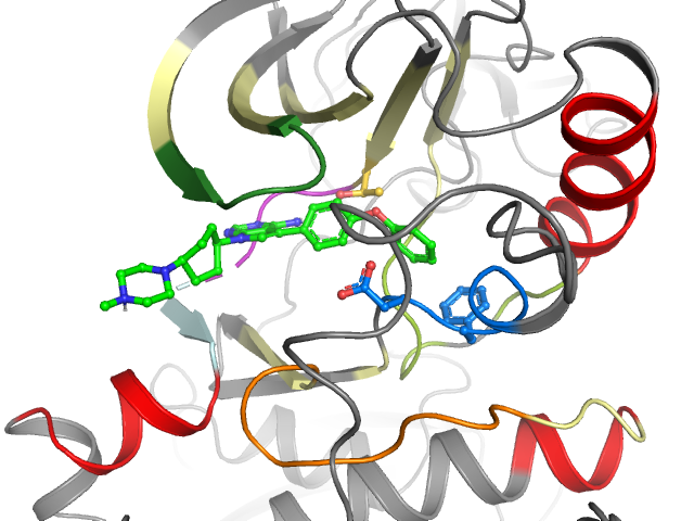 The orthosteric binding pocket