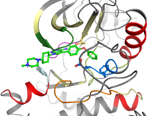 The orthosteric binding pocket