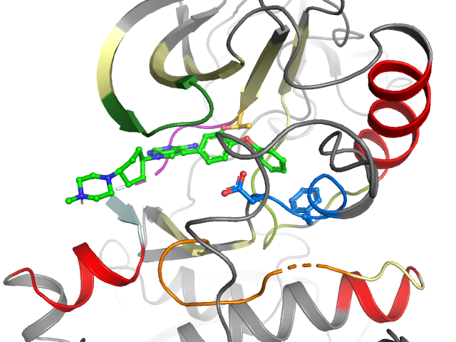 The orthosteric binding pocket