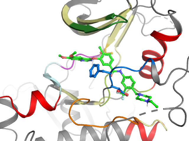 The orthosteric binding pocket