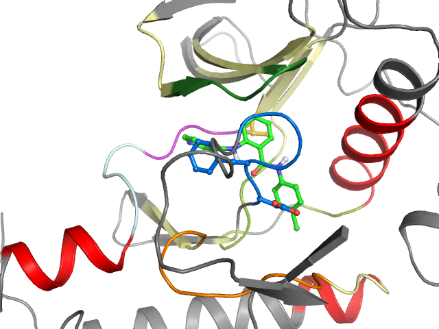 The orthosteric binding pocket