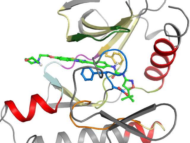 The orthosteric binding pocket