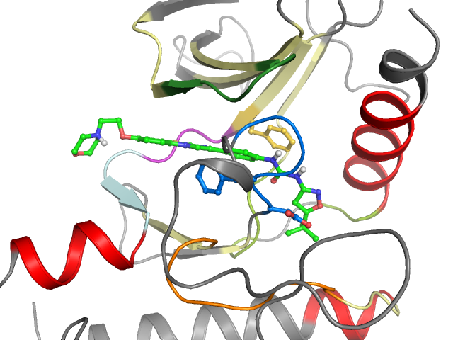 The orthosteric binding pocket