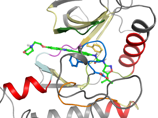 The orthosteric binding pocket