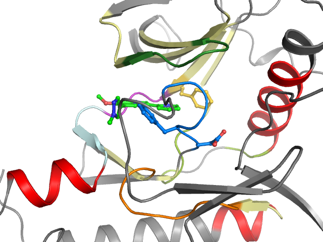The orthosteric binding pocket