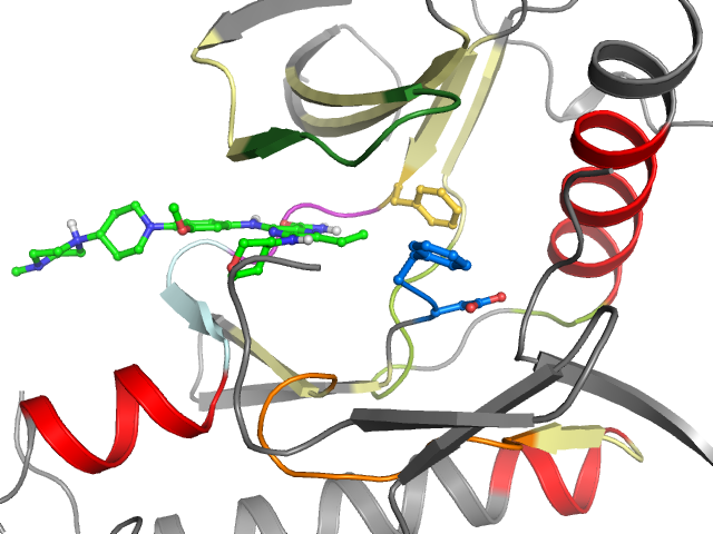 The orthosteric binding pocket