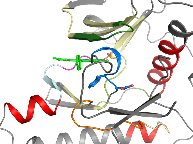 The orthosteric binding pocket