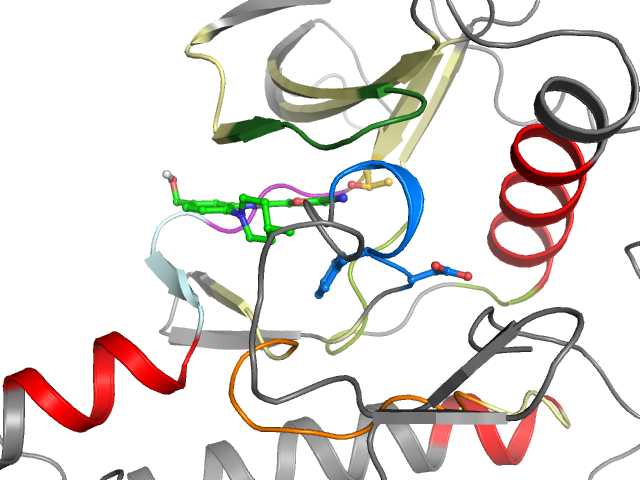 The orthosteric binding pocket