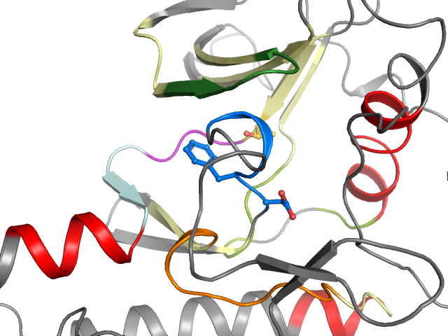 The orthosteric binding pocket