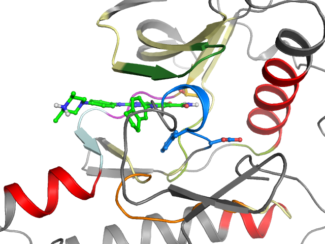 The orthosteric binding pocket
